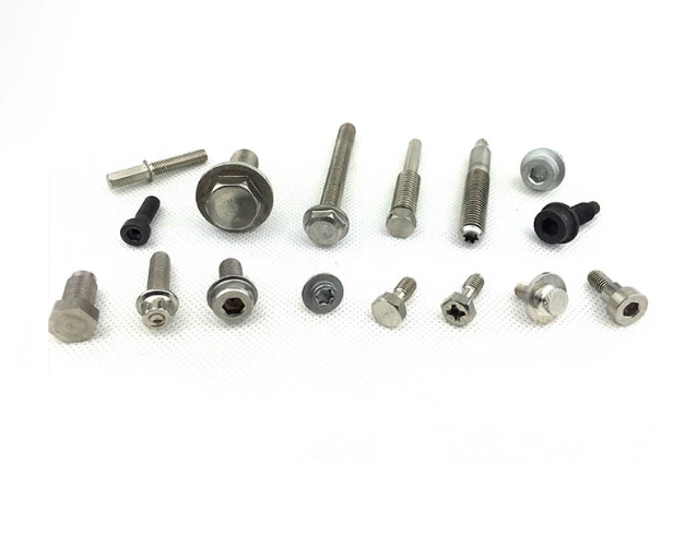 Stainless steel screws for auto parts