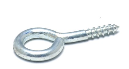 Eye Bolt Self Tapping Screws